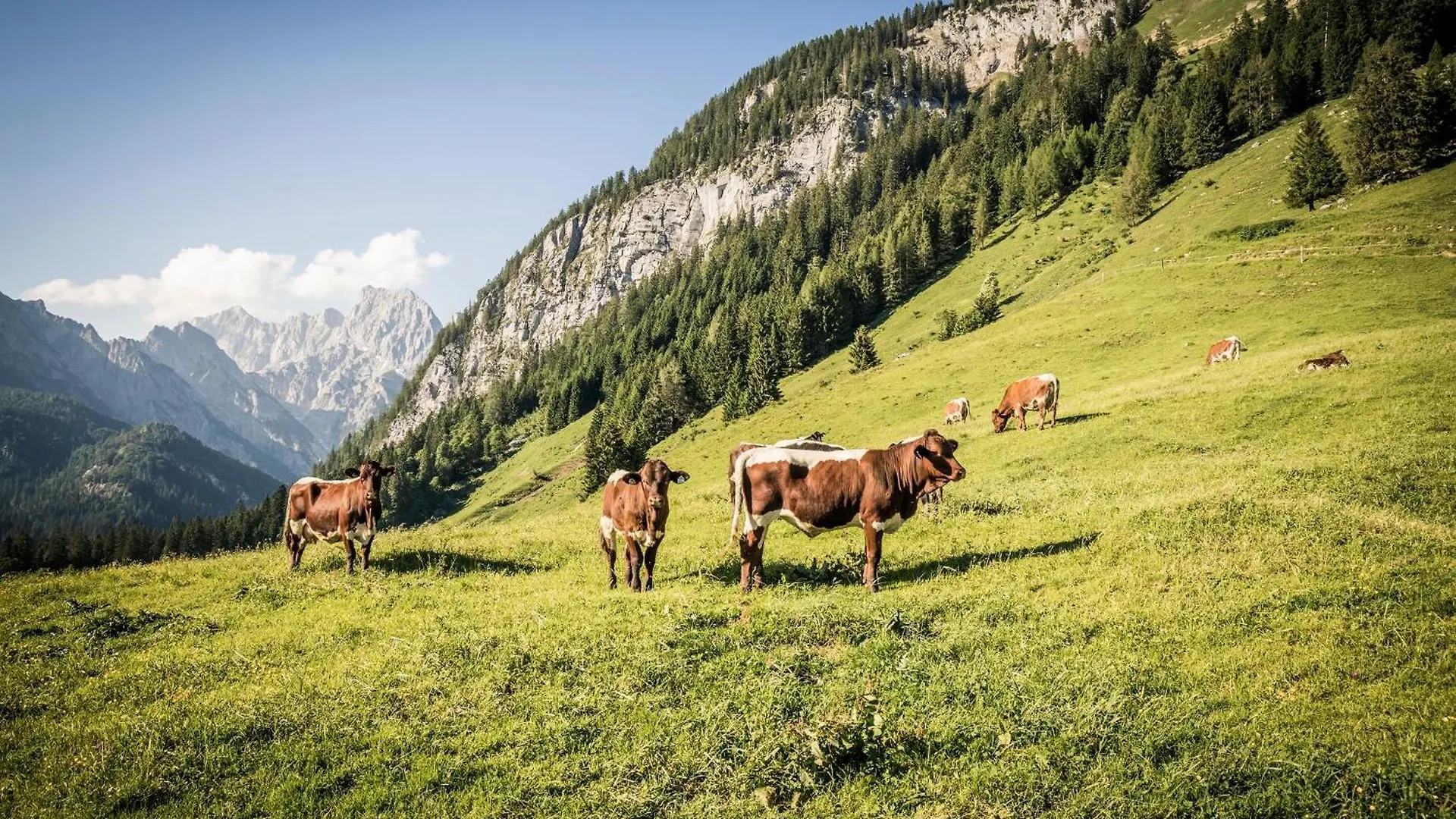Hofmusikerhaus Fewo Hofmusikerhaus 2 Berchtesgaden